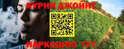 сатива Камышлов