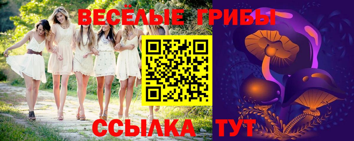 Волжск  Псилоцибиновые грибы мухоморы  Псилоцибиновые грибы MAGIC MUSHROOMS  Вход с VPN 